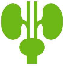 Урологический комплекс мужской №3 до 45 лет