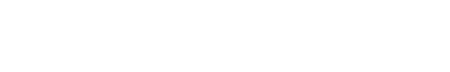 БАРСМЕД
