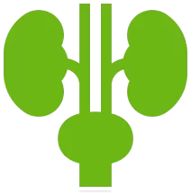 Урологический комплекс мужской №3 до 45 лет